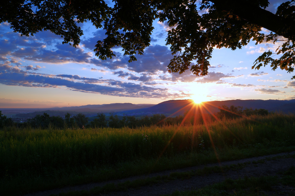 _000123_ | fotografie33