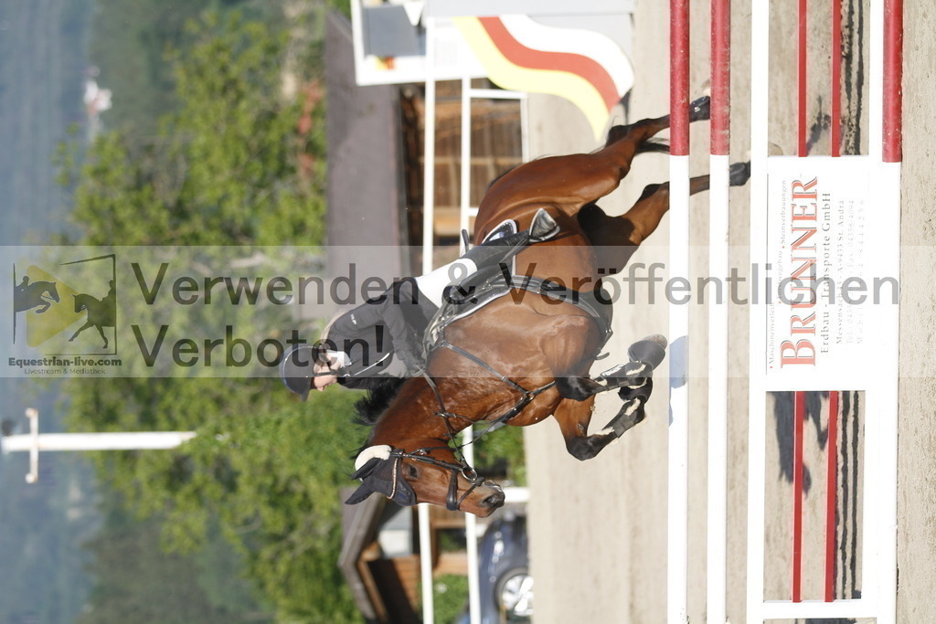 _MG_2213 | equestrian-live-com