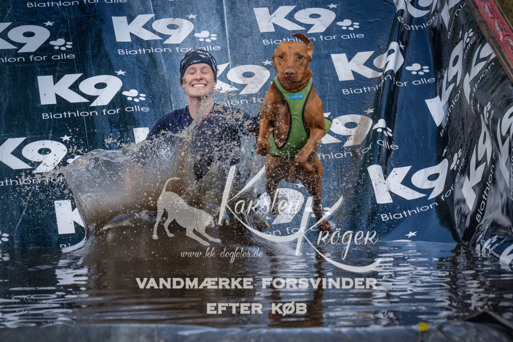 1553_ZZ91048 | kk-dogfotos