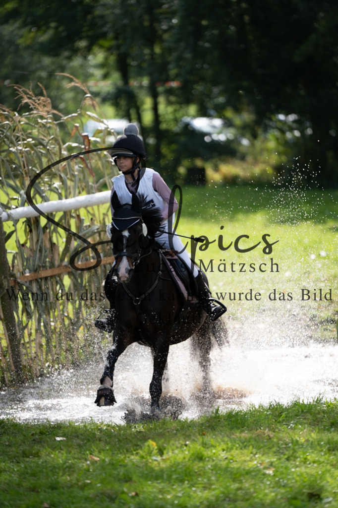 A7V03515 | Pferdefotograf