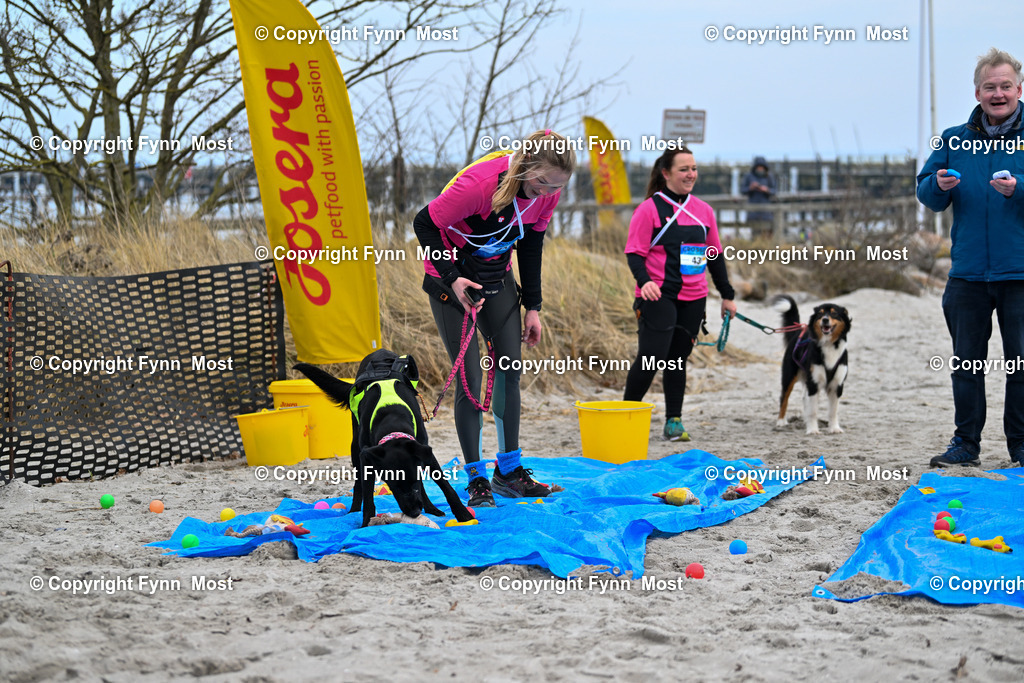 DSC_1747 | Hallo und herzlich Willkommen auf meiner Shop-Seite Fynn Most.

Ich wünsche Dir viel Spaß beim stöbern durch die Bilder, wenn Du Fragen hast oder Bilder vermisst, kannst du mir gerne eine Nachricht schreiben. - Realisiert mit Pictrs.com