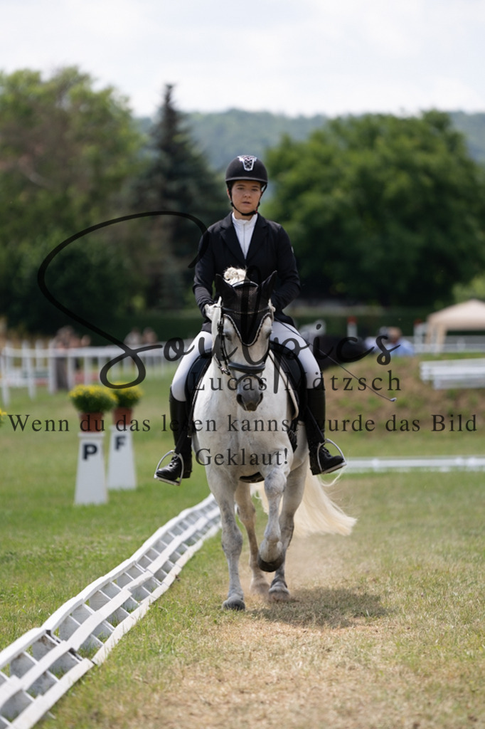 A7V00087 | Pferdefotograf