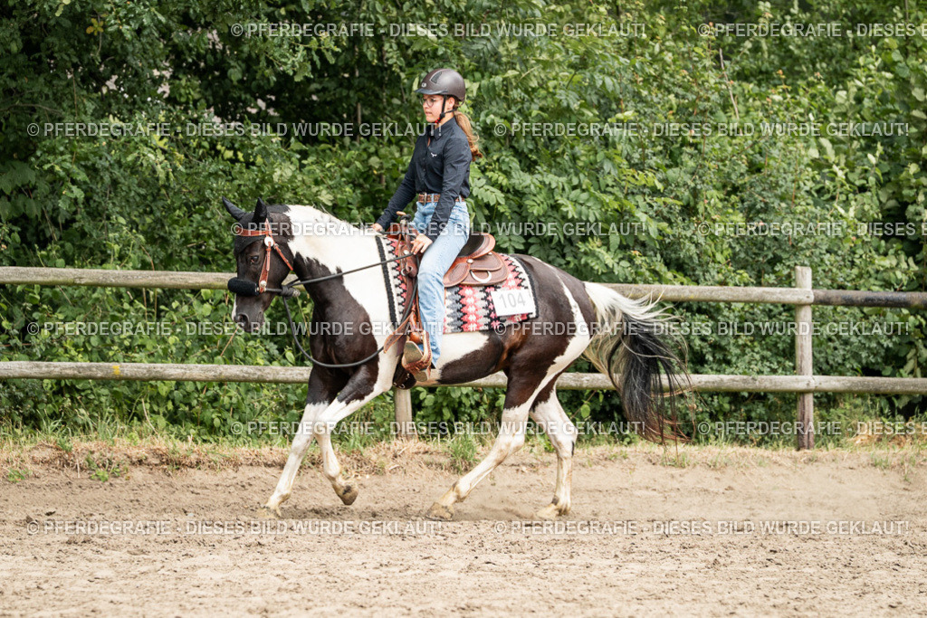 DSC01594 | Pferdegrafie