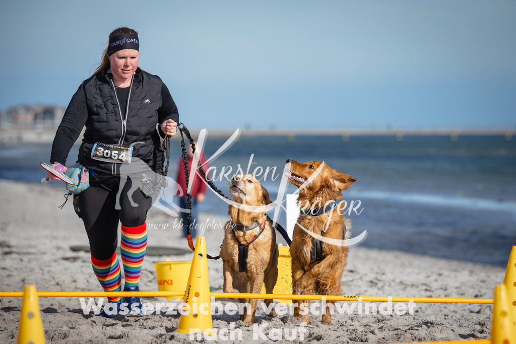 1343_ZZ92924 | kk-dogfotos