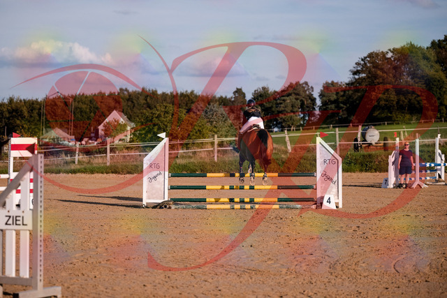 2026_10_03_Siefer-Hof_170858_Z81_05617700 | Professionelle Reitsport-, Turnier- und Eventfotografie von Robert Broda. Galerien mit ausgewählten und bearbeiteten Bildern direkt online ansehen und bestellen.