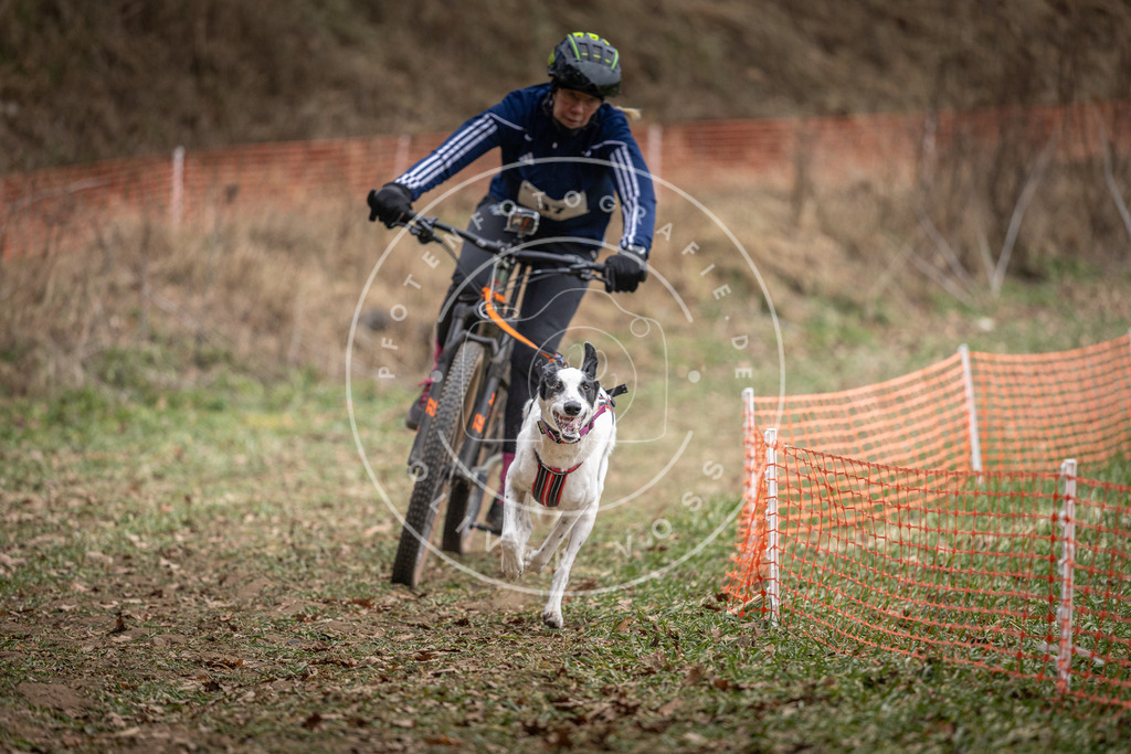 Pfotenfotografie_DV3A5153 | Hundefotografie, Tierfotograf, Pfotenfotografie, Fotoshooting Hund, Hunde Portrait, Hundesport, Hundeportraits, Heideshooting, Hunde, Sportfotograf, Hundefotograf, Turnierhundsport, THS,  - Realisiert mit Pictrs.com