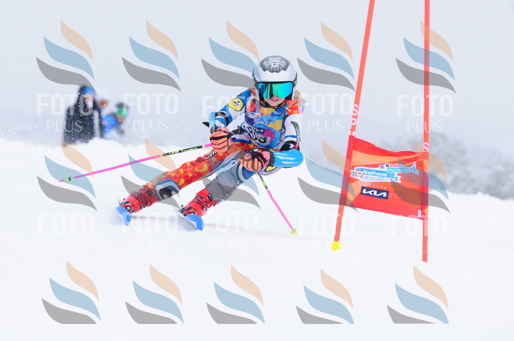 C3772 | holidayphoto