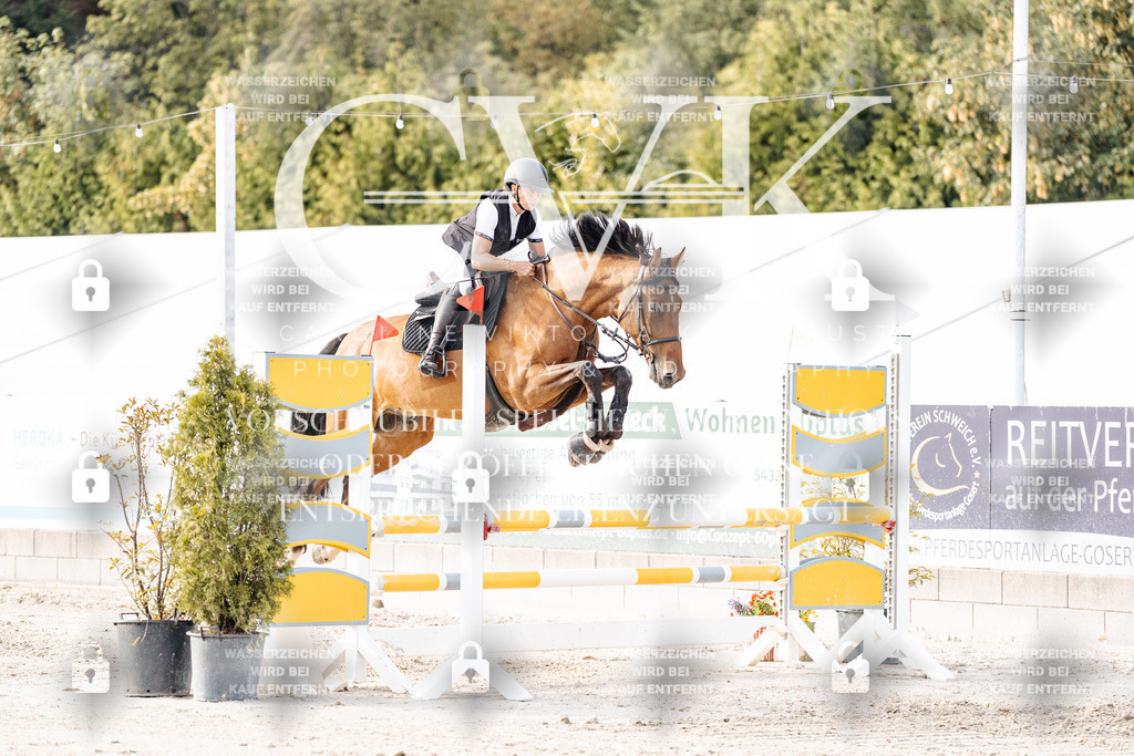 CK906825 | Turnierfotografie Pferdefotografie Trier Rheinland-Pfalz Pferdesport Reitsport Tierfotografie Sportfotografie Pferdevideo Pferdevideografie Equestrianvideography equestrianphotography  - Realisiert mit Pictrs.com