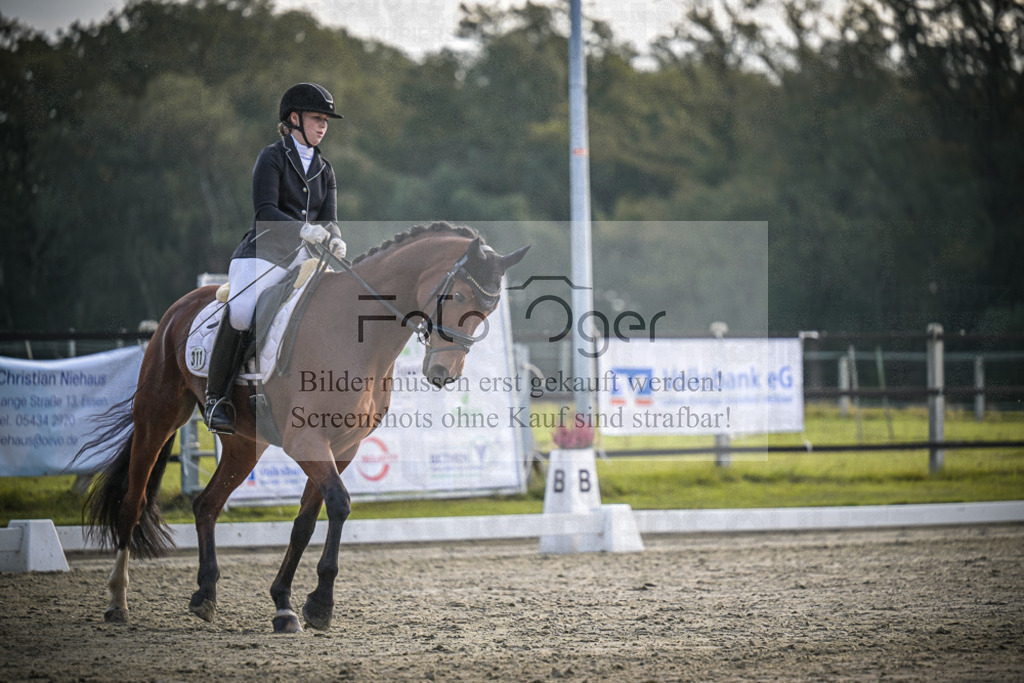 DOS_4990 | Entdecke hochwertige Reitturnierfotos von Foto Oger. Professionell, emotional und authentisch – jetzt Lieblingsmomente im Shop bestellen.Deutschlandweite Turnierfotografie. - Realisiert mit Pictrs.com