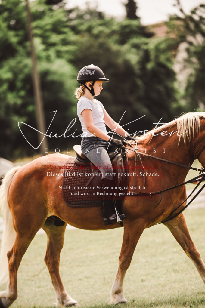 DSC_5411 | Pferde- und Turnierfotografie in Westsachsen. Pferdeportraits, Auftragszeichnungen und intuitive Kunst.