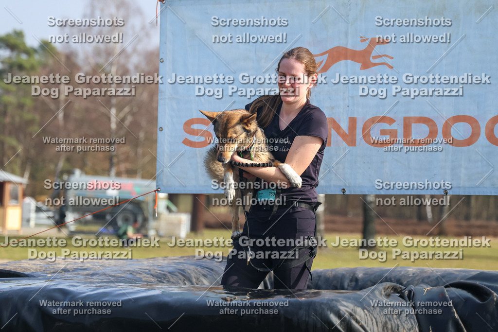 Dog Paparazzi - Strongdog North Mrz26-1910 | Dog Paparazzi Jeanette Grottendiek Fotografie & Videografie - Realisiert mit Pictrs.com