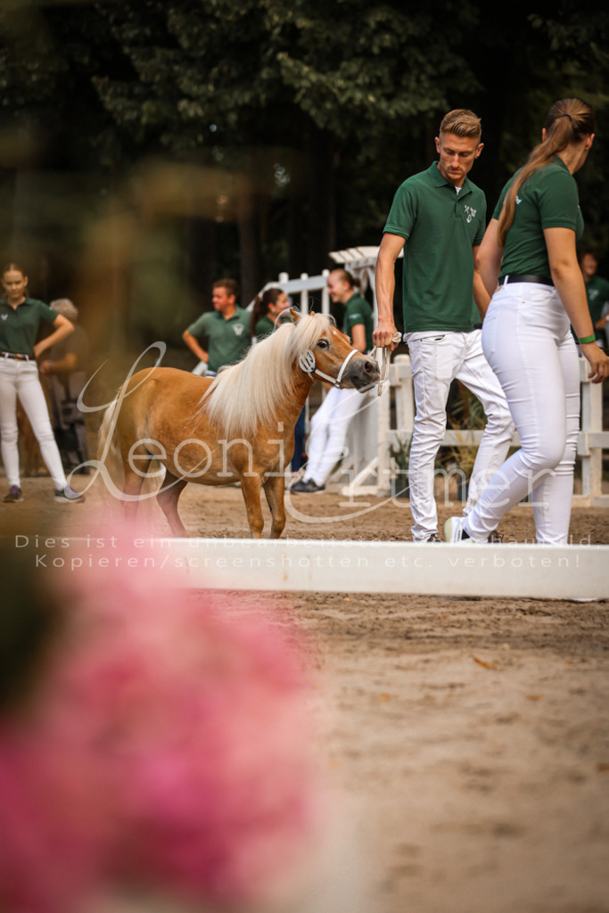 01.So00153 | Leoni Ertmer Photography - Realisiert mit Pictrs.com