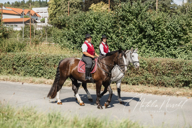 7V6A1063 | natalia-nirschl-photography