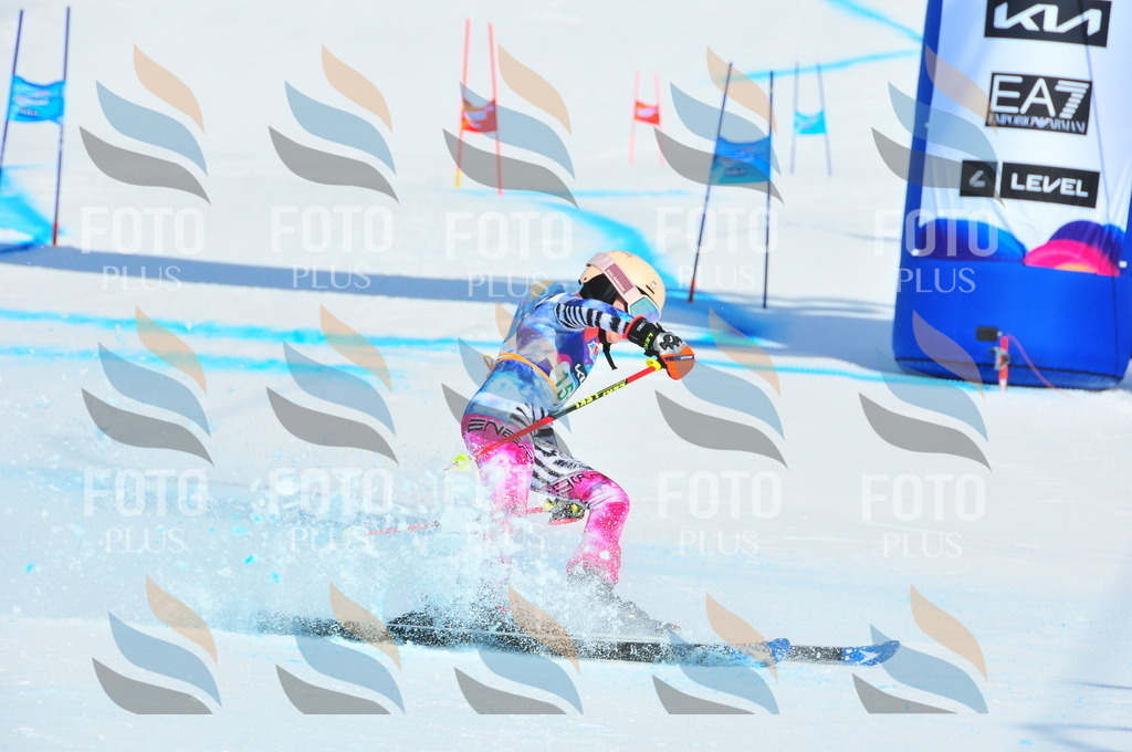 DSC_1322 | holidayphoto