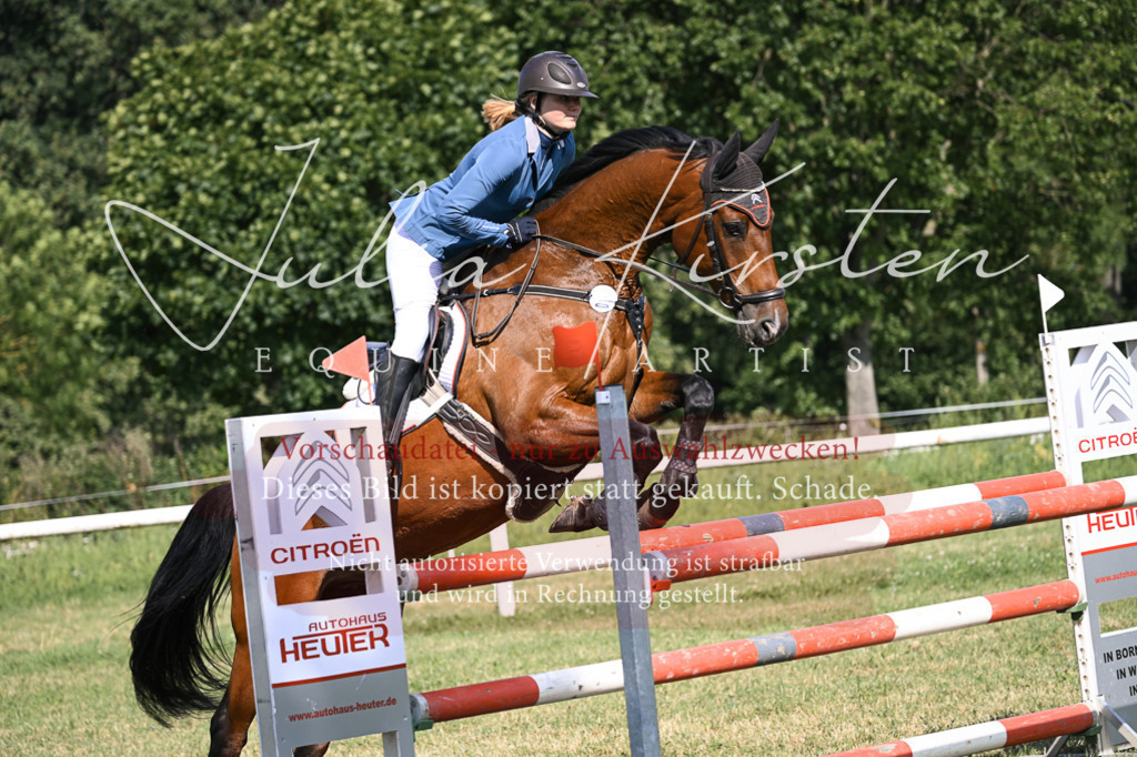 DSC_1134 | Pferde- und Turnierfotografie in Westsachsen. Pferdeportraits, Auftragszeichnungen und intuitive Kunst.