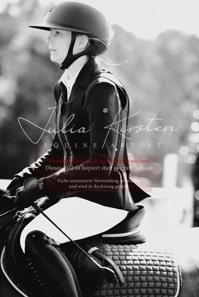 DSC_9251 | Pferde- und Turnierfotografie in Westsachsen. Pferdeportraits, Auftragszeichnungen und intuitive Kunst.