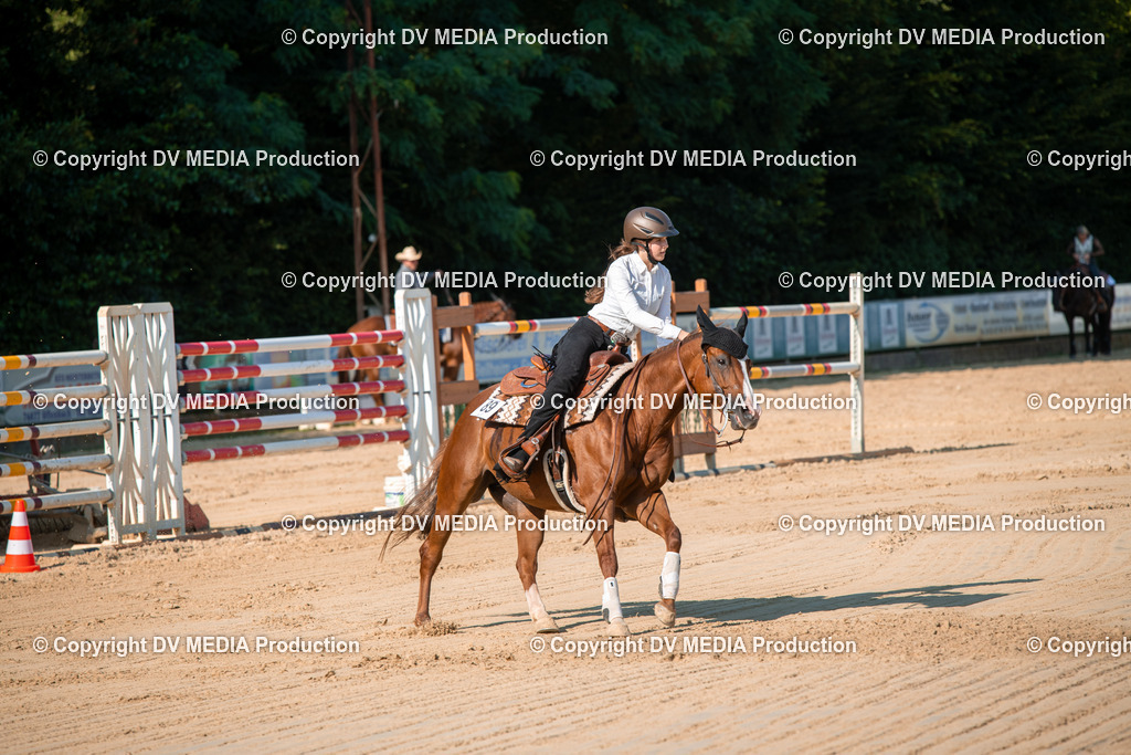 ZS2_8823 | dv-media-shop - Realisiert mit Pictrs.com