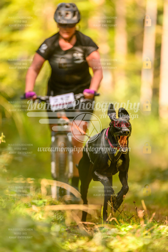 MompixPhotography_Yens2025_B2-97 | PayLife