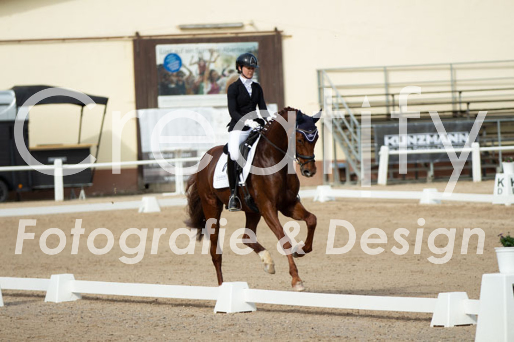 IMG_1082 | Creatify Fotografie