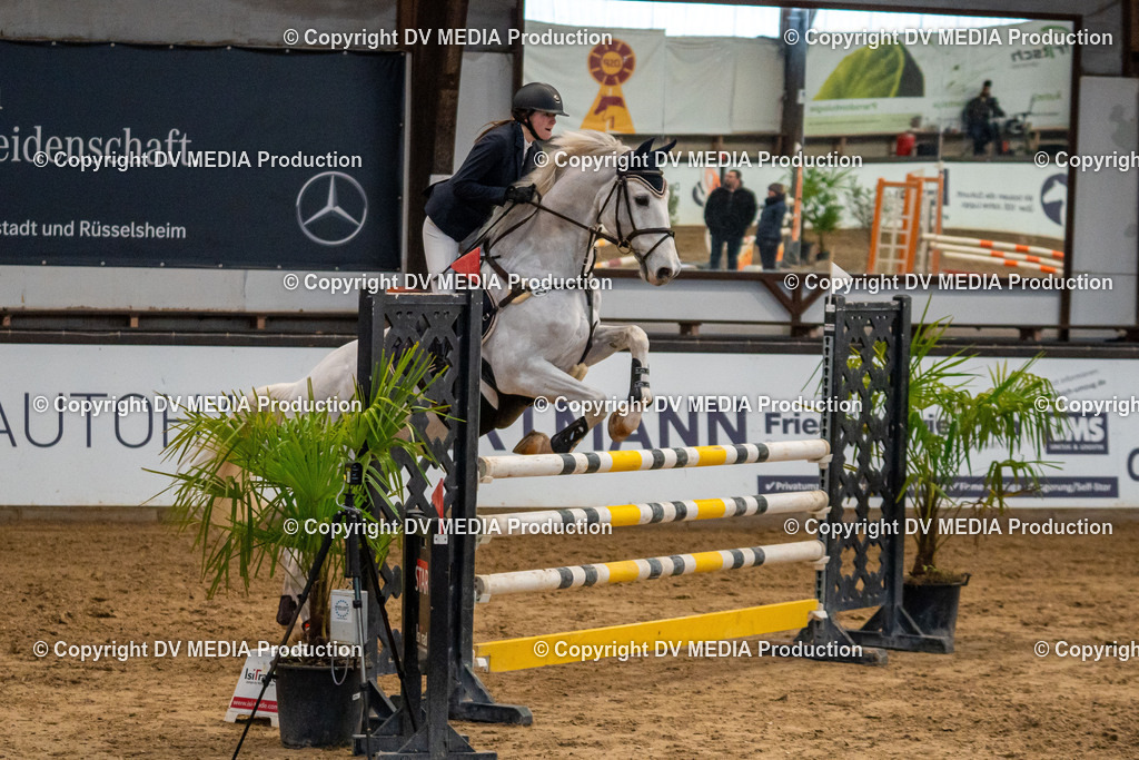 Kranichstein Tag 2-034 | dv-media-shop - Realisiert mit Pictrs.com