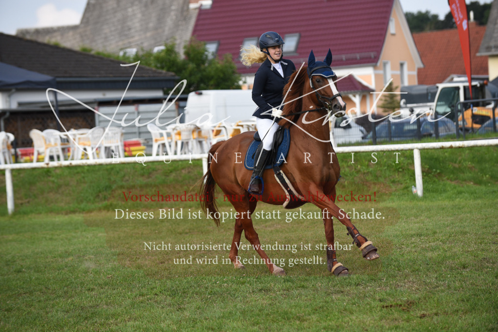 DSC_8845 | Pferde- und Turnierfotografie in Westsachsen. Pferdeportraits, Auftragszeichnungen und intuitive Kunst.