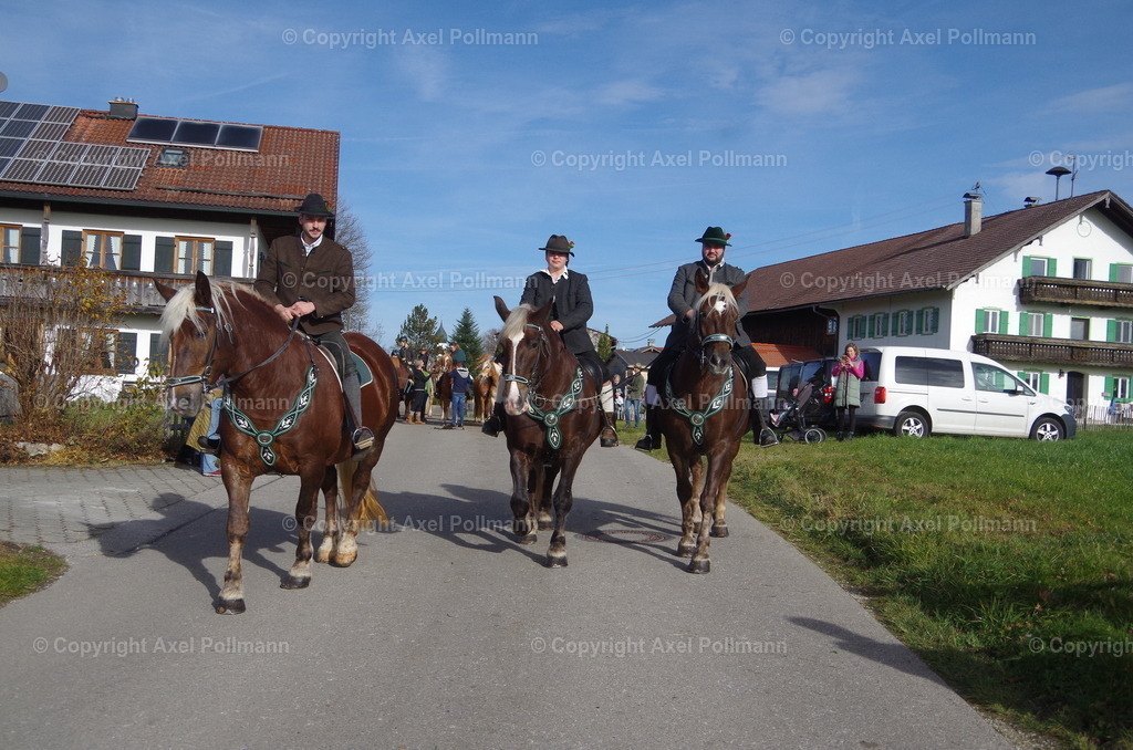 IMGP1619 | fotografiert von Axel PollmannLeonhardi Wallfahrt Benediktbeuern und Murnau, Fronleichnam, Fasching, Landschaft im Loisachtal und Benediktbeuern  - Realisiert mit Pictrs.com