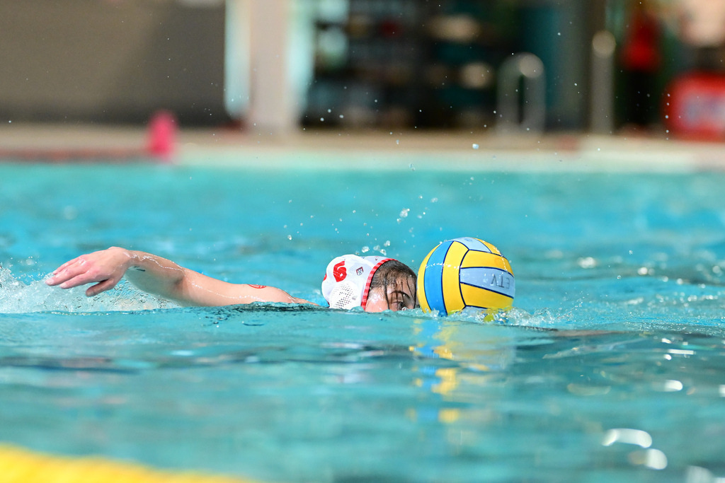 Wasserball I Frauen I Saison 2024-2025 I Bundesliga I 9. Spieltag I Eimsbütteler TV - SV Blau-Weiß Bochum | Der Sportfotograf. - Realisiert mit Pictrs.com