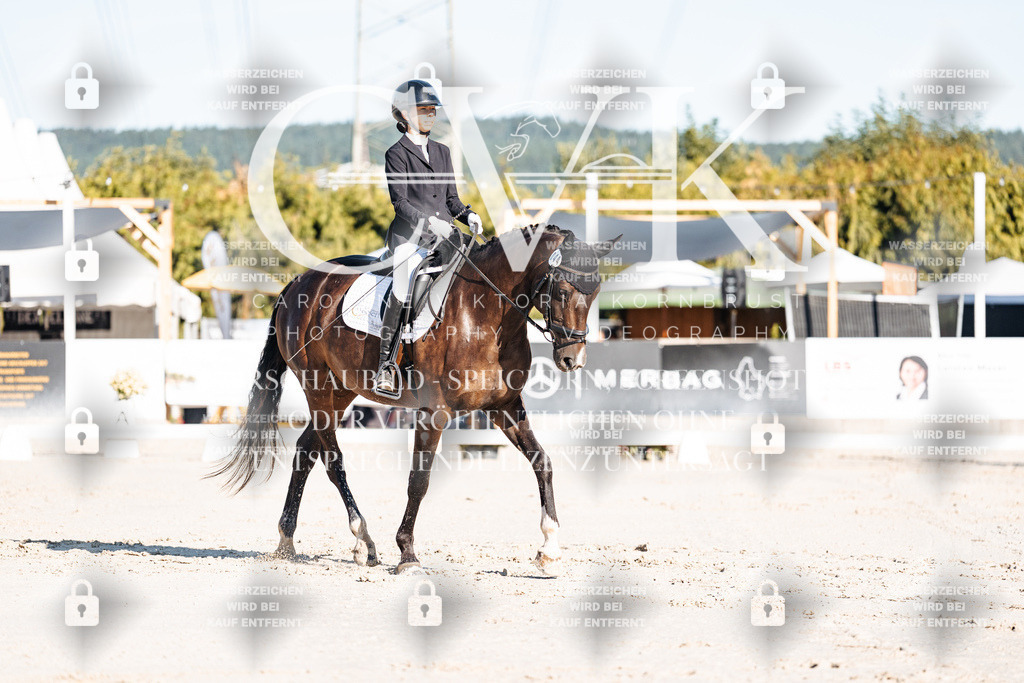 CK907215 | Turnierfotografie Pferdefotografie Trier Rheinland-Pfalz Pferdesport Reitsport Tierfotografie Sportfotografie Pferdevideo Pferdevideografie Equestrianvideography equestrianphotography  - Realisiert mit Pictrs.com