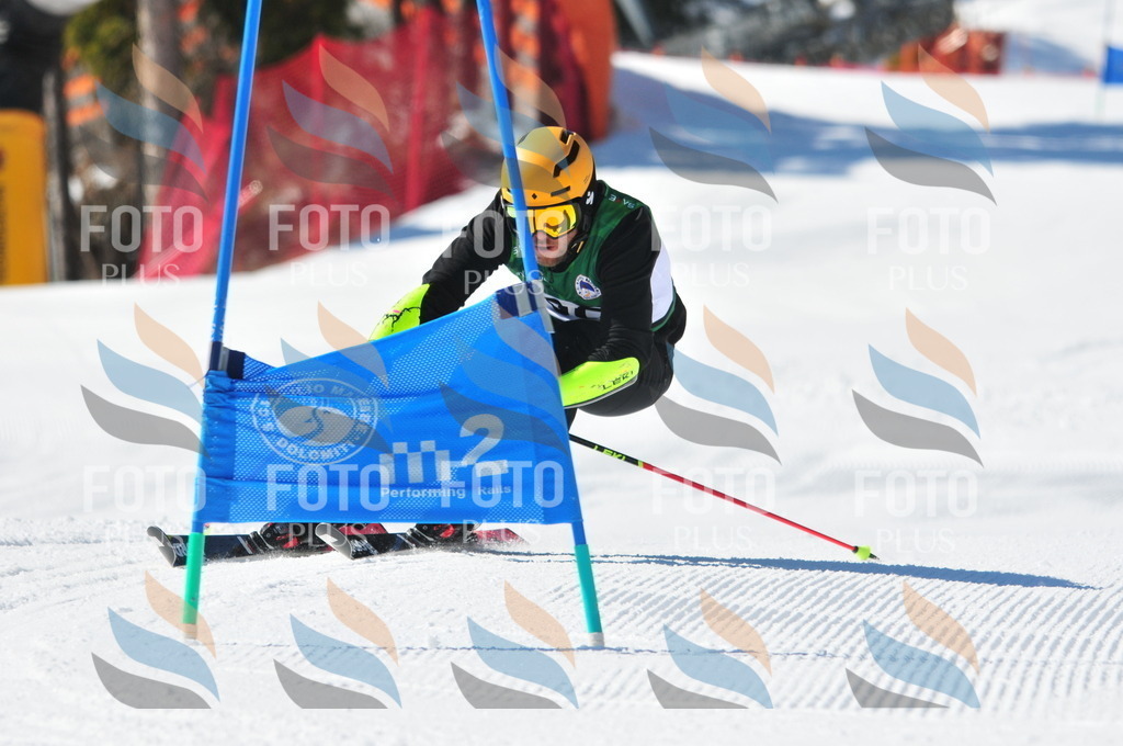 C3347 | holidayphoto