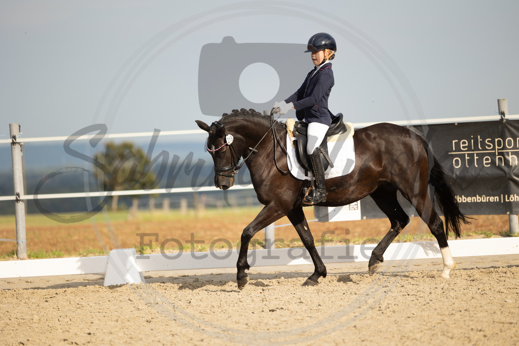 994A1041 | sabrinanicolaifotografie - Realisiert mit Pictrs.com