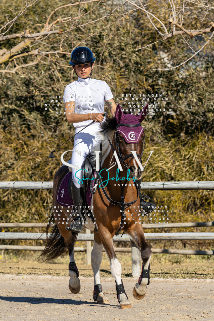 IMG_8242 | s-jay-photography - Realisiert mit Pictrs.com