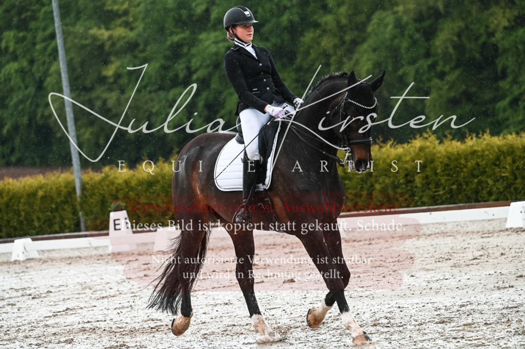 DSC_4323 | Pferde- und Turnierfotografie in Westsachsen. Pferdeportraits, Auftragszeichnungen und intuitive Kunst.