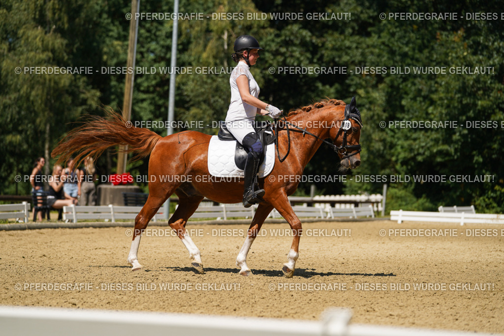 DSC05512 | Pferdegrafie