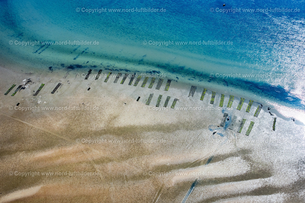 Sylt_List_Wattenmeer_Austernzucht_Sylter_Royal_Dittmeyers_Austernzucht_Companie_ELS_8844130825 | LIST 13.08.2025 Wattenmeer der Nordsee- Küste mit Austern-Zucht-Bänken "Sylter Royal" in List im Bundesland Schleswig-Holstein, Deutschland. Weiterführende Informationen bei: Dittmeyer's Austern-Compagnie GmbH. // Wadden Sea of the North Sea coast with oyster breeding banks "Sylter Royal" in List in the federal state of Schleswig-Holstein, Germany. Further information at: Dittmeyer's Austern-Compagnie GmbH. Foto: Martin Elsen