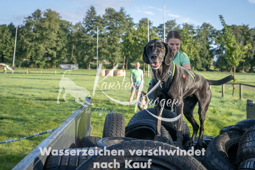 0829_ZZ91667 | kk-dogfotos