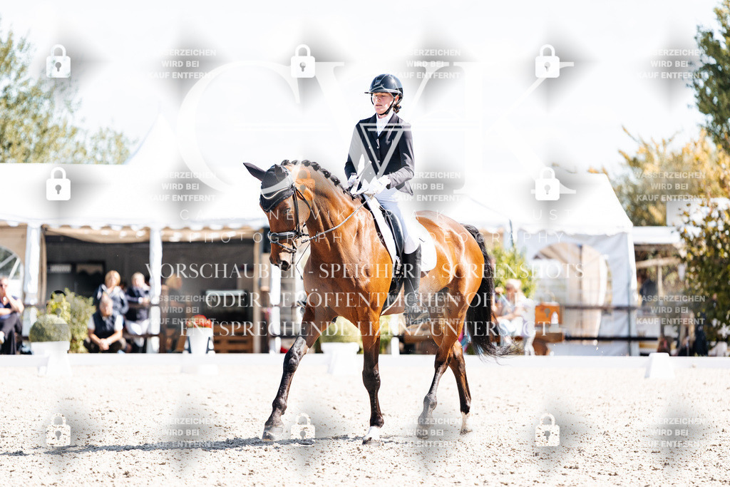 CK902904 | Turnierfotografie Pferdefotografie Trier Rheinland-Pfalz Pferdesport Reitsport Tierfotografie Sportfotografie Pferdevideo Pferdevideografie Equestrianvideography equestrianphotography  - Realisiert mit Pictrs.com