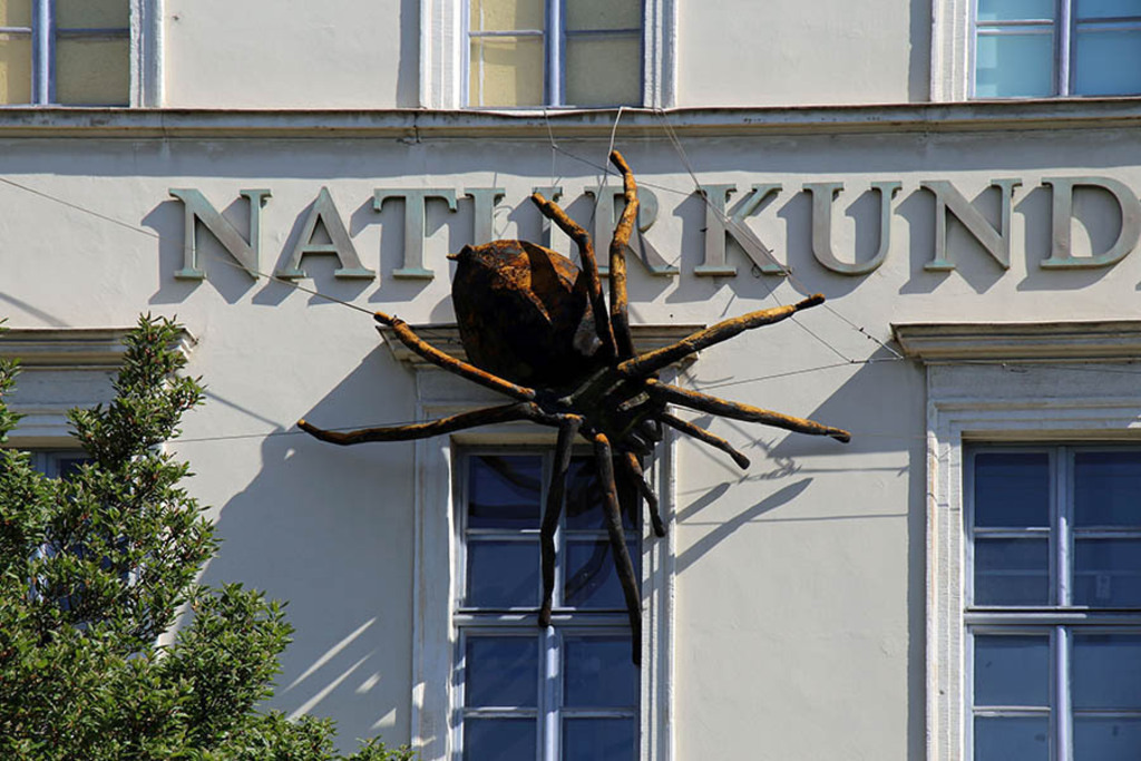 Foto: Leipzig - Naturkundemuseum Leipzig | Das Team hinter BILDLEXIKON LEIPZIG bündelt historische wie aktuelle Informationen über die Stadt Leipzig in Text und Bild auf einer Plattform und stellt diese der interessierten Öffentlichkeit zur Verfügung.