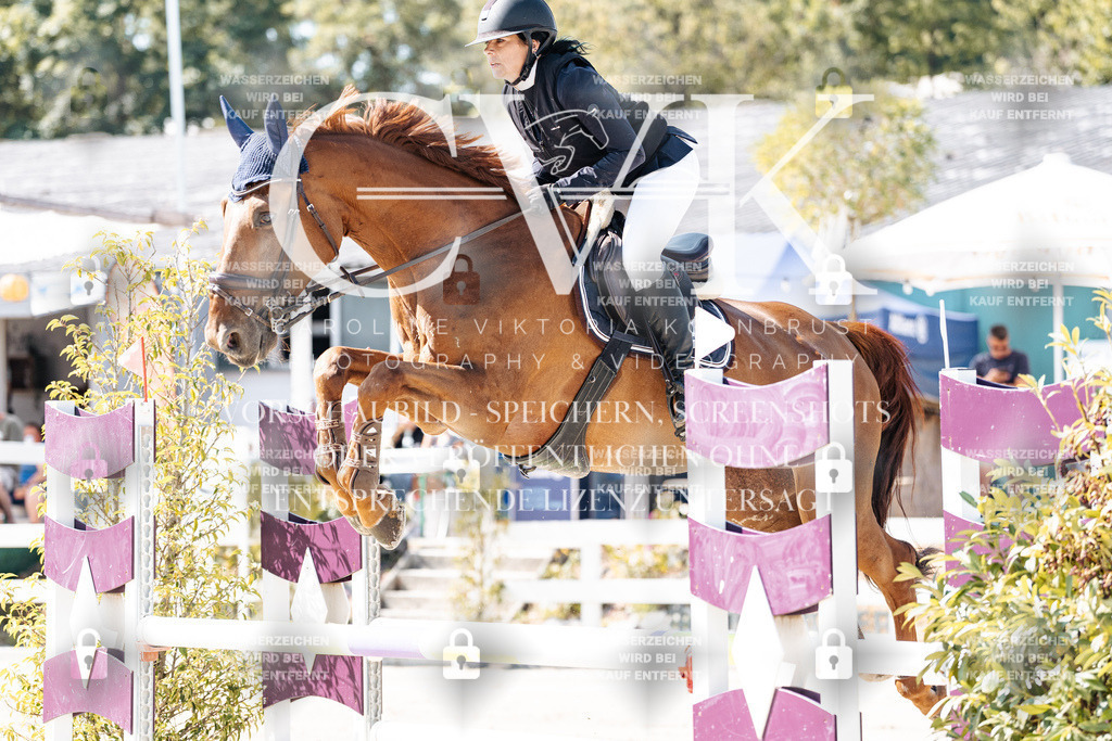 CK908432 | Turnierfotografie Pferdefotografie Trier Rheinland-Pfalz Pferdesport Reitsport Tierfotografie Sportfotografie Pferdevideo Pferdevideografie Equestrianvideography equestrianphotography  - Realisiert mit Pictrs.com