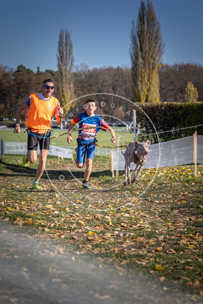CaniXpix_DV3A8310 | Hundefotografie, Tierfotograf, Pfotenfotografie, Fotoshooting Hund, Hunde Portrait, Hundesport, Hundeportraits, Heideshooting, Hunde, Sportfotograf, Hundefotograf, Turnierhundsport, THS,  - Realisiert mit Pictrs.com