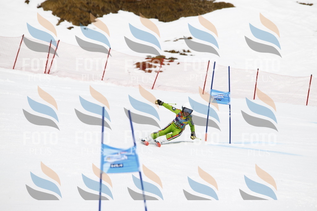 _U3G7007 | holidayphoto