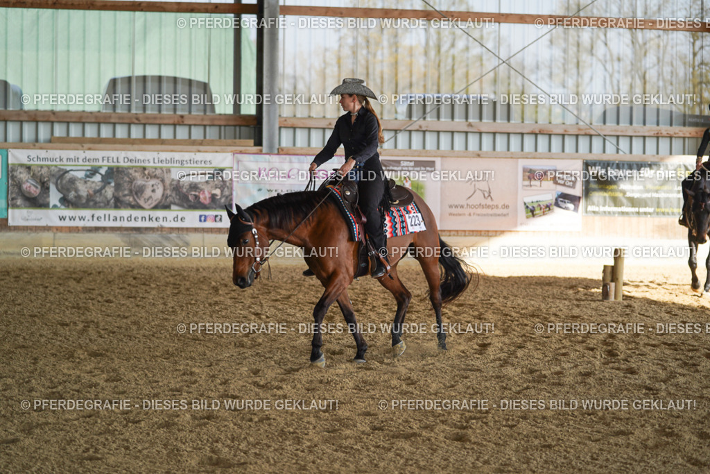 DSC09583 | Pferdegrafie