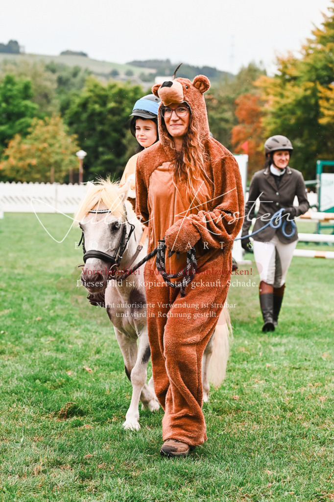 DSC_7328 | Pferde- und Turnierfotografie in Westsachsen. Pferdeportraits, Auftragszeichnungen und intuitive Kunst.