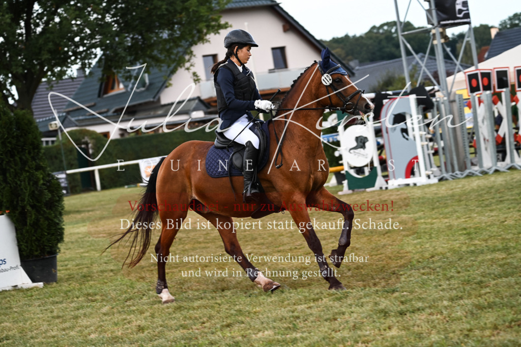 DSC_5492 | Pferde- und Turnierfotografie in Westsachsen. Pferdeportraits, Auftragszeichnungen und intuitive Kunst.