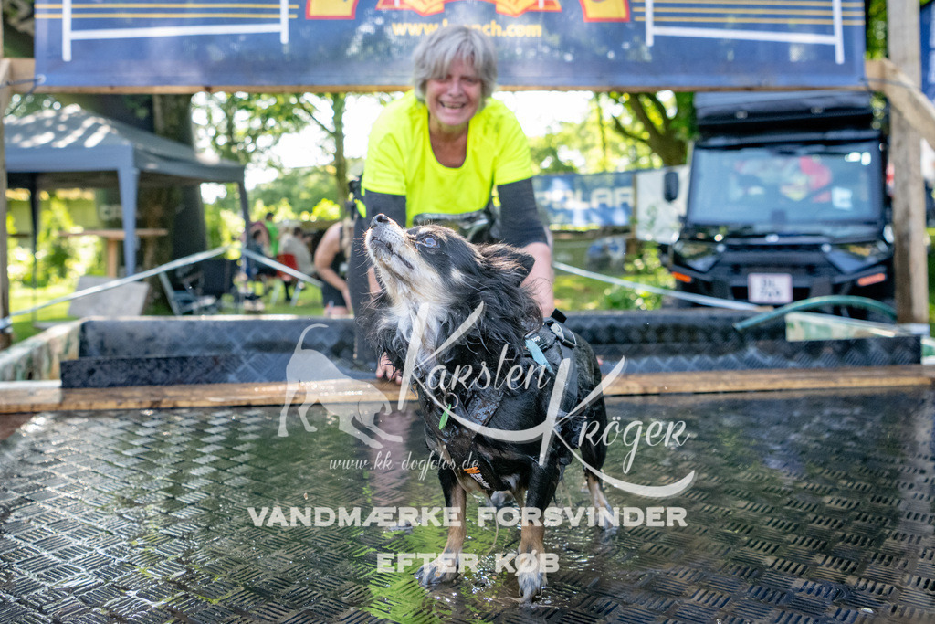 1539_ZZ92328 | kk-dogfotos