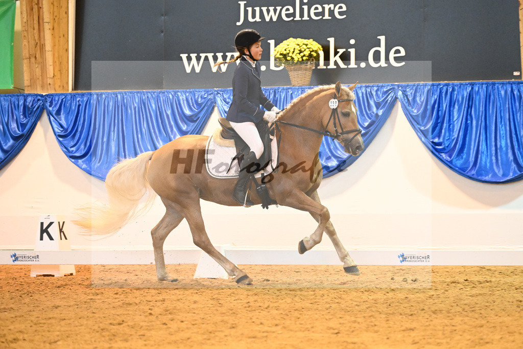 Kat-Nr. 330 Pauline_Linder_54222219 | hf-fotografie - Realisiert mit Pictrs.com