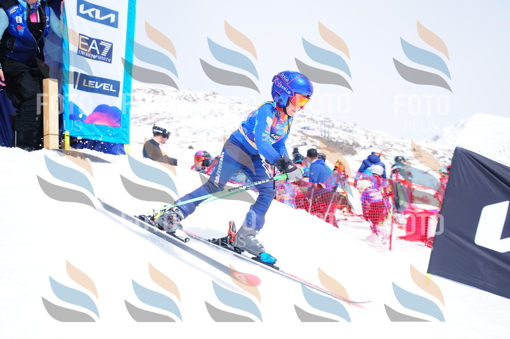 DSC_1800 | holidayphoto