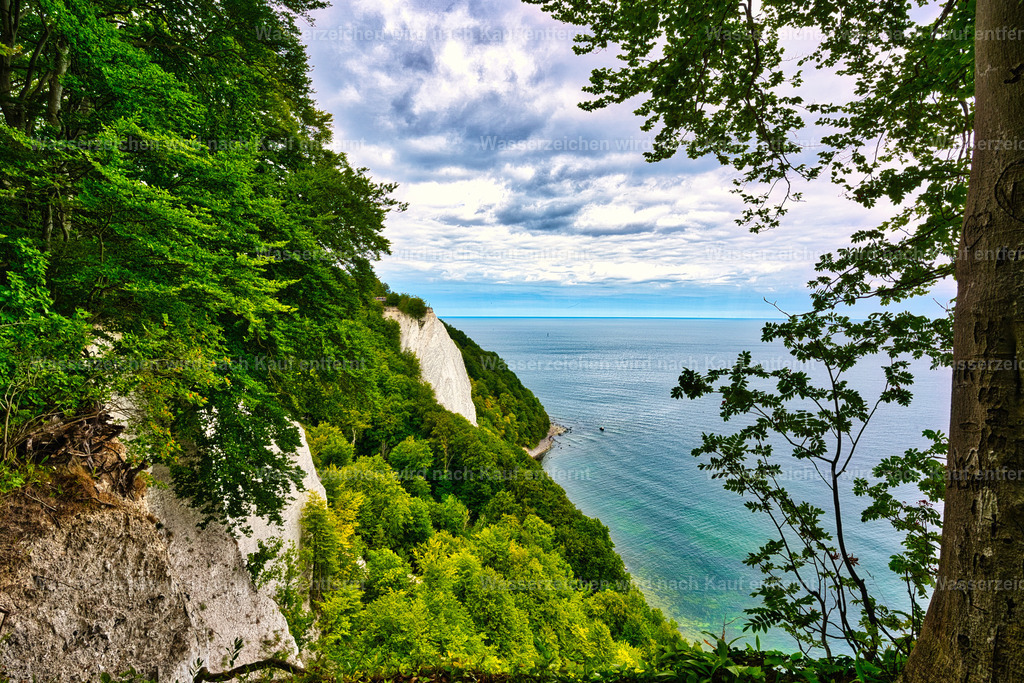 DSC06472 | Der Nationalpark Jasmund auf der Insel Rügen ist Deutschlands kleinster Nationalpark und weltweit bekannt für seine imposanten Kreidefelsen, darunter der berühmte Königsstuhl. Zum UNESCO-Weltnaturerbe gehören außerdem die uralten Buchenwälder, die gemeinsam mit der einzigartigen Steilküste eine beeindruckende Natur- und Fotokulisse an der Ostsee bilden. - Realisiert mit Pictrs.com
