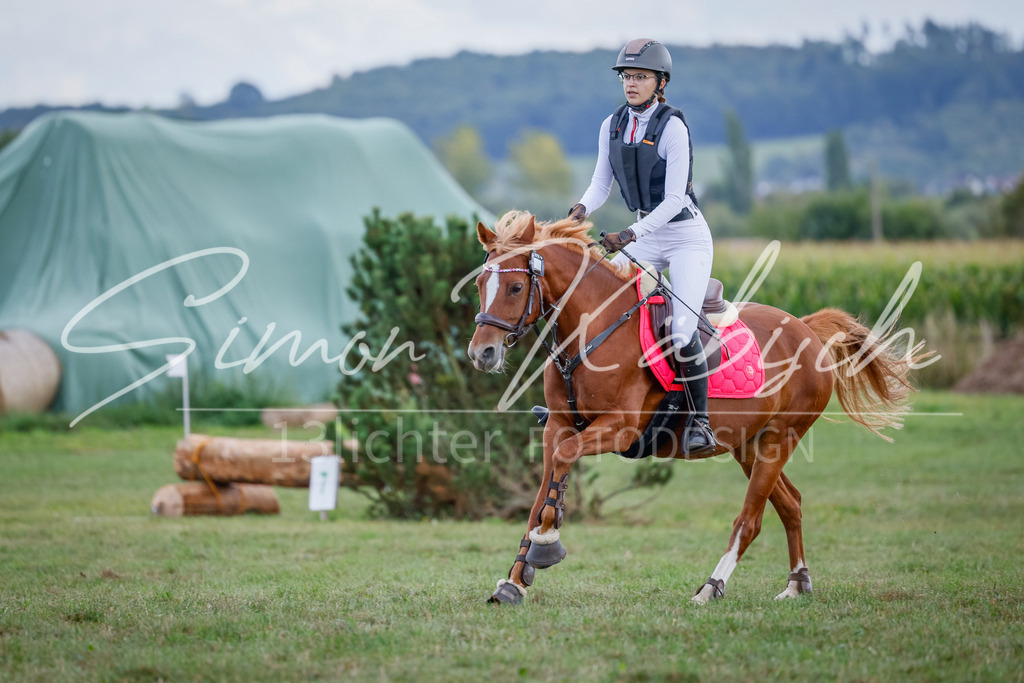 20250905-_3LI0545 | Tierfotografie Pferde, Hunde, Katzen, Haustiere.
Turnierfotografie Reitturniere, Reiten, Springreiten, Dressur in Hanau, dem Main-Kinzig-Kreis und dem Rhein-Main- Gebiet um Frankfurt