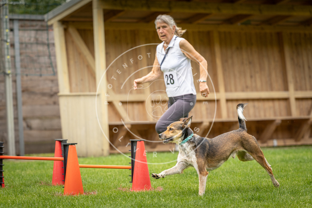 Pfotenfotografie_DV3A8803 | Hundefotografie, Tierfotograf, Pfotenfotografie, Fotoshooting Hund, Hunde Portrait, Hundesport, Hundeportraits, Heideshooting, Hunde, Sportfotograf, Hundefotograf, Turnierhundsport, THS,  - Realisiert mit Pictrs.com