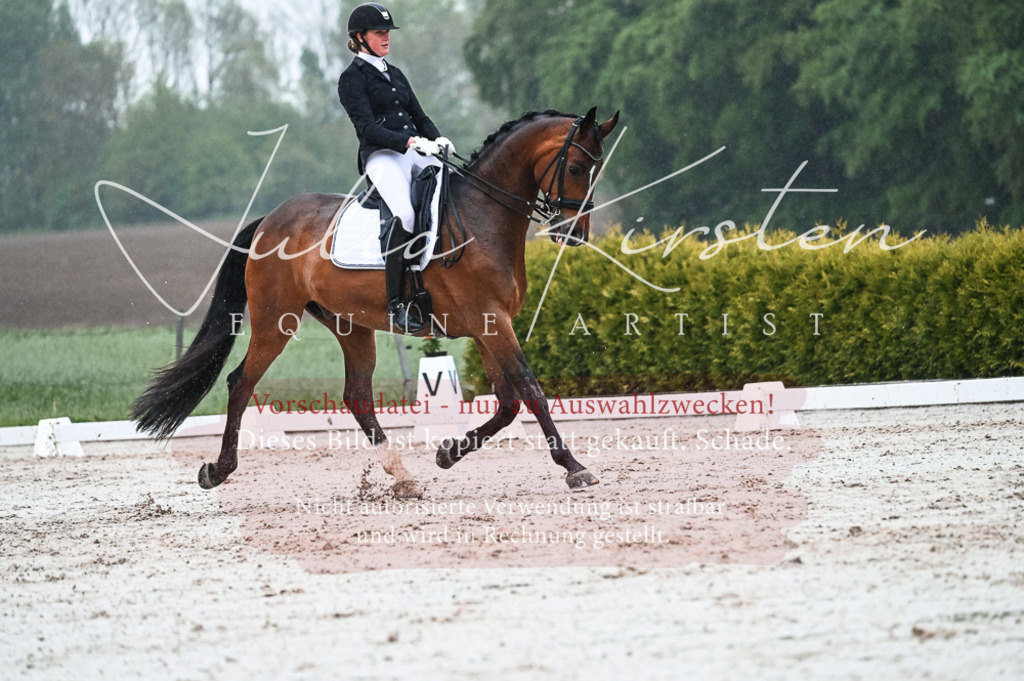 DSC_4570 | Pferde- und Turnierfotografie in Westsachsen. Pferdeportraits, Auftragszeichnungen und intuitive Kunst.